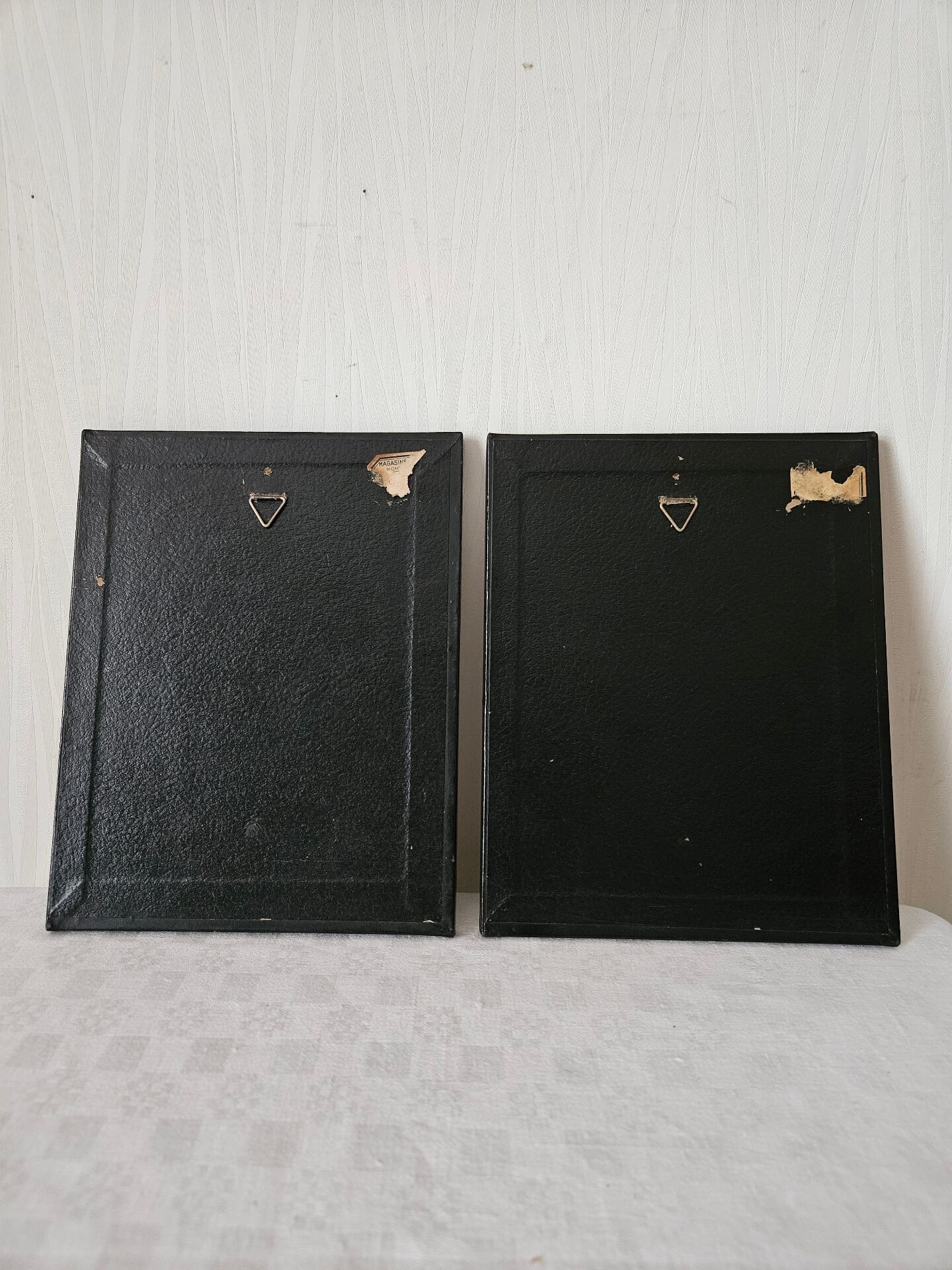 Paire de gravures encadrées oiseaux vintage