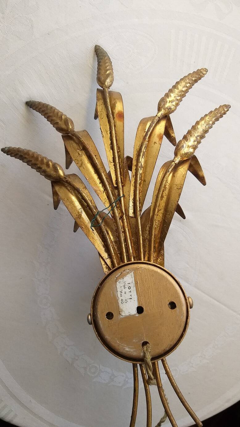 Electrified wall light