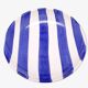 Blue and white ceramic soup plate