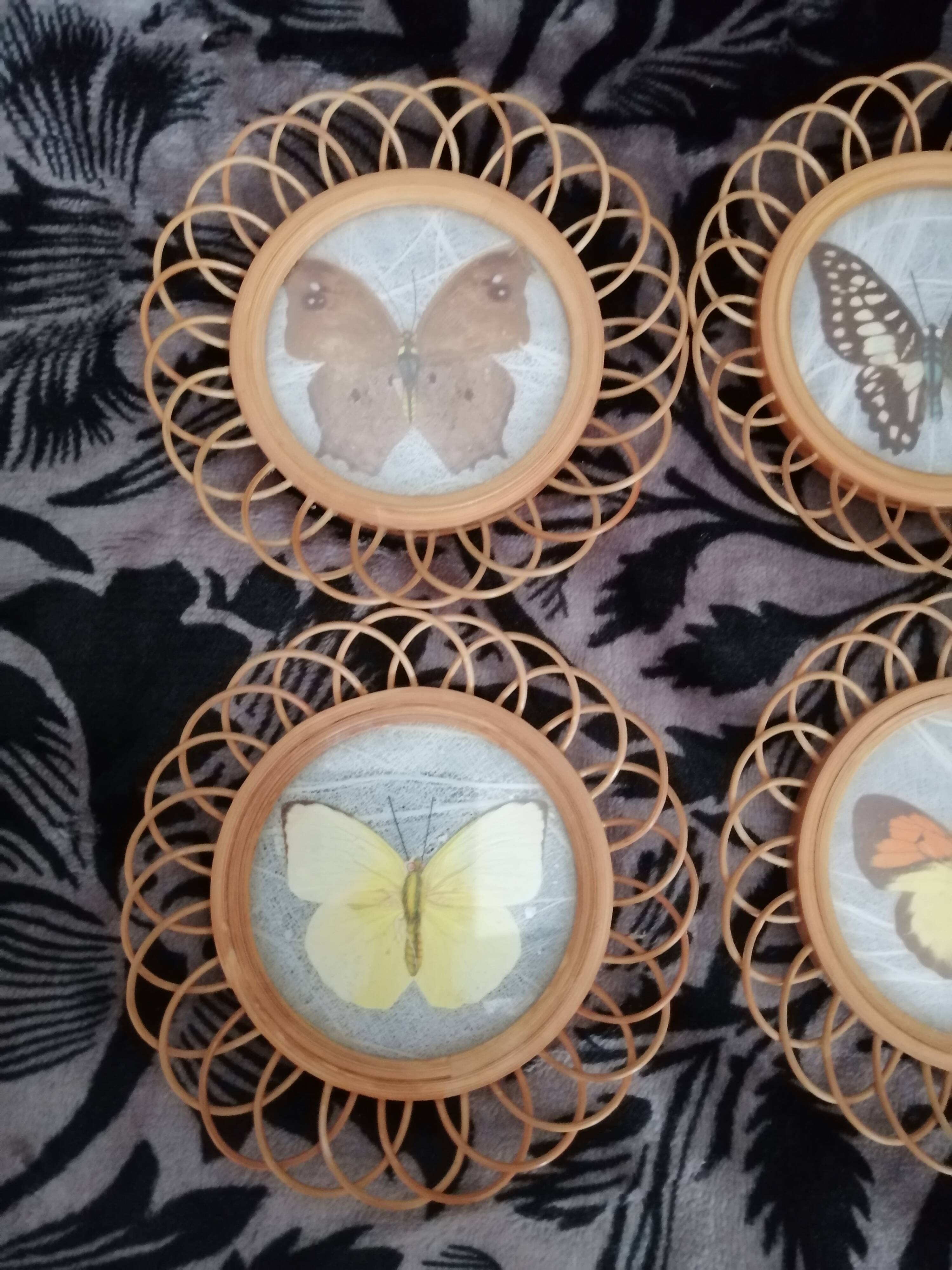 6 coasters in wooden wicker and butterfly background