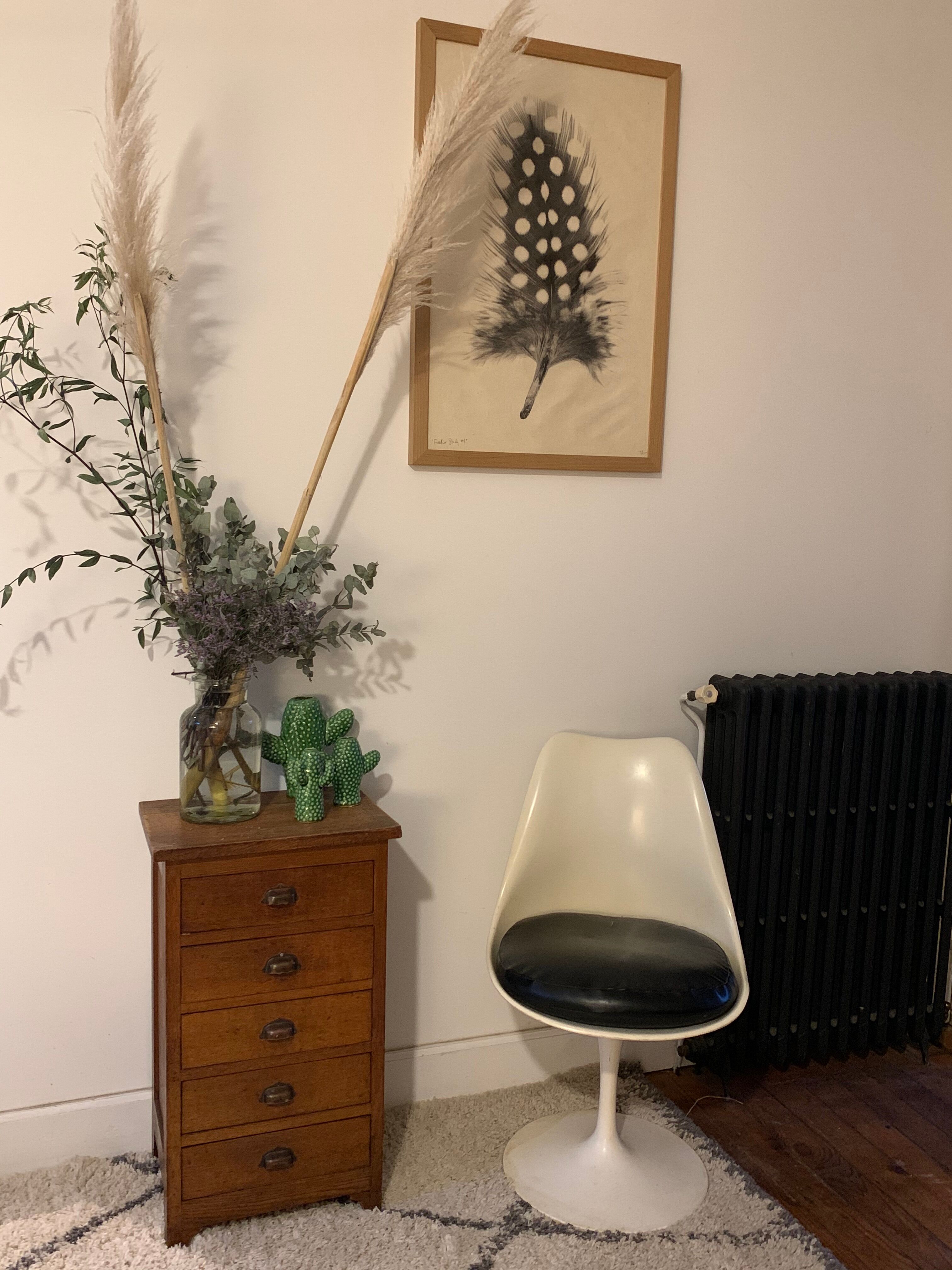 Extra furniture (chiffonnier)