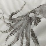 Original print of an octopus