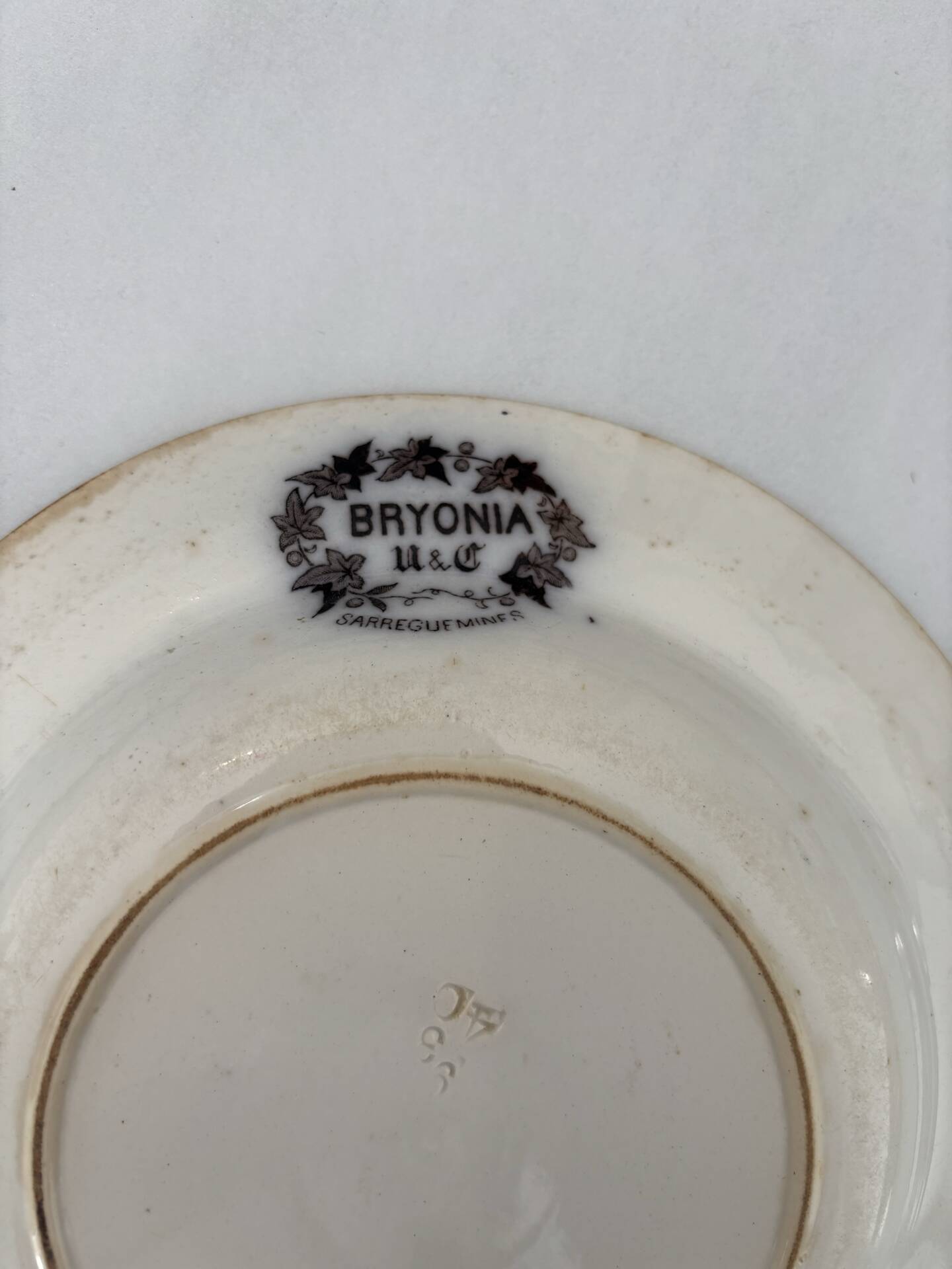 Iron earth plate sepia Sarreguemines model Bryonia - 19th-century earthenware