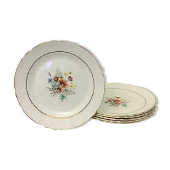 Lot de 6 assiettes plates faïence « salins » -  "manzat"