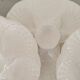 Oyster service dish and 6 plates barbotine earthenware sarreguemines ecru vintage