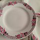 Vaisselle ancienne ceranor st amand