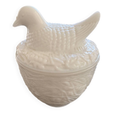 Opaline chicken box