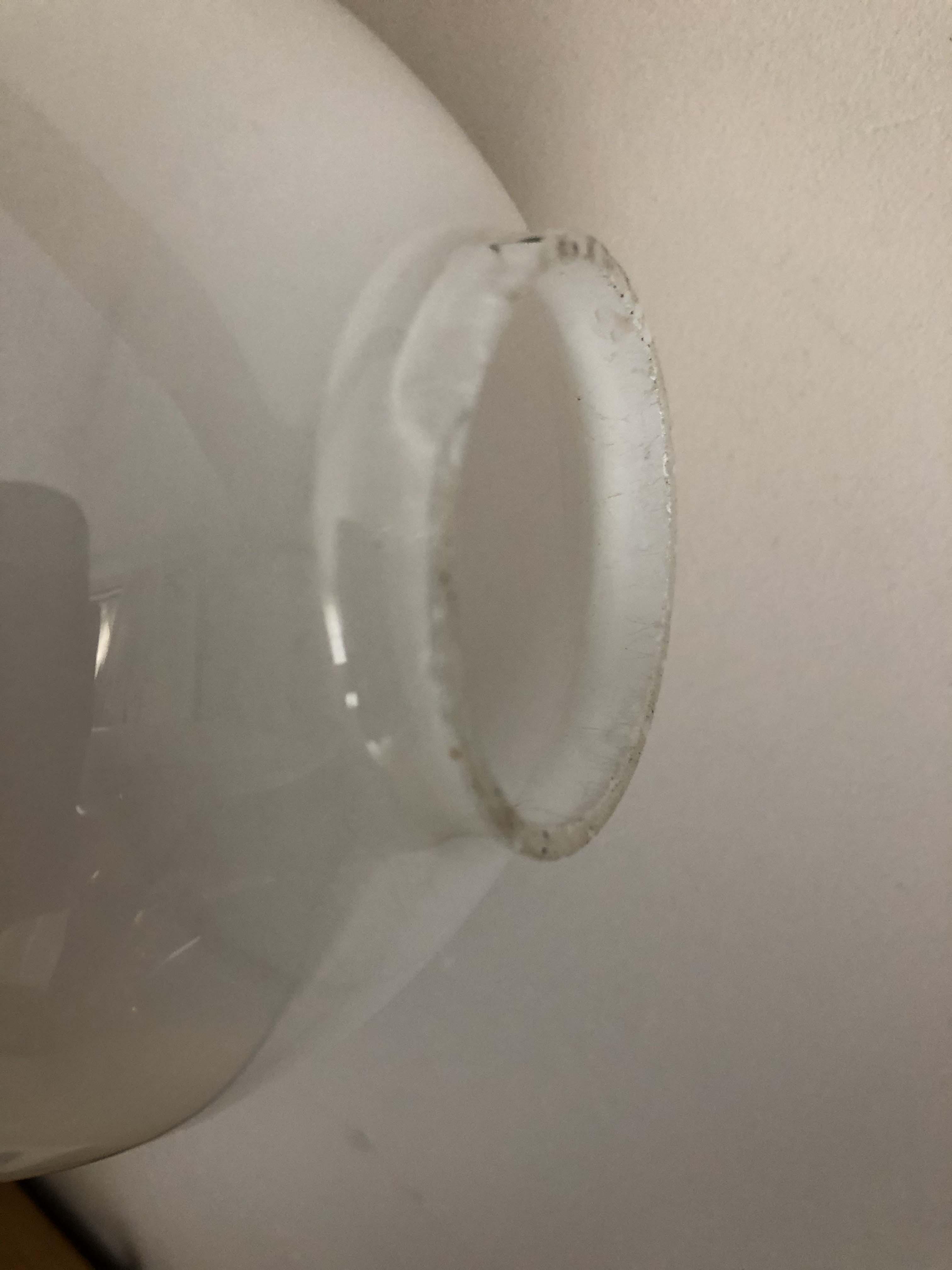 Art Deco Bird Nightlight, Marble, Regular and Opaline