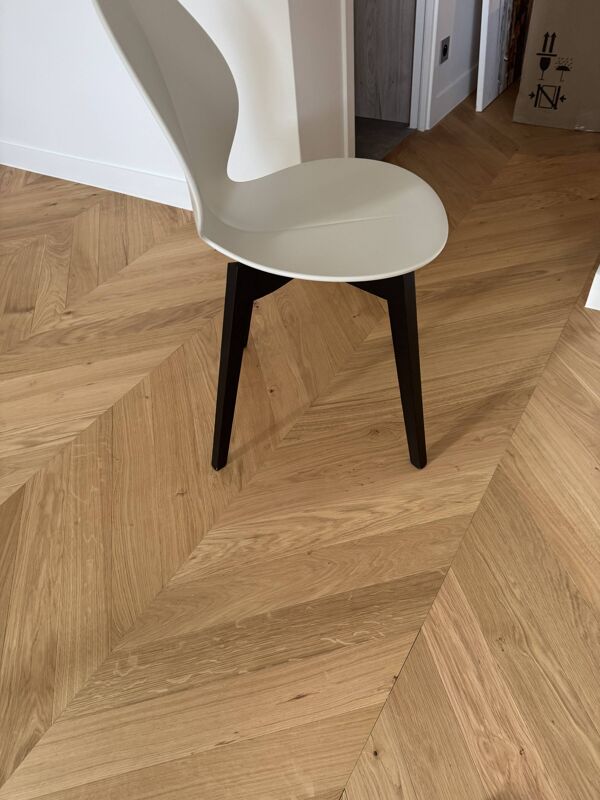 6 chaises Calligaris