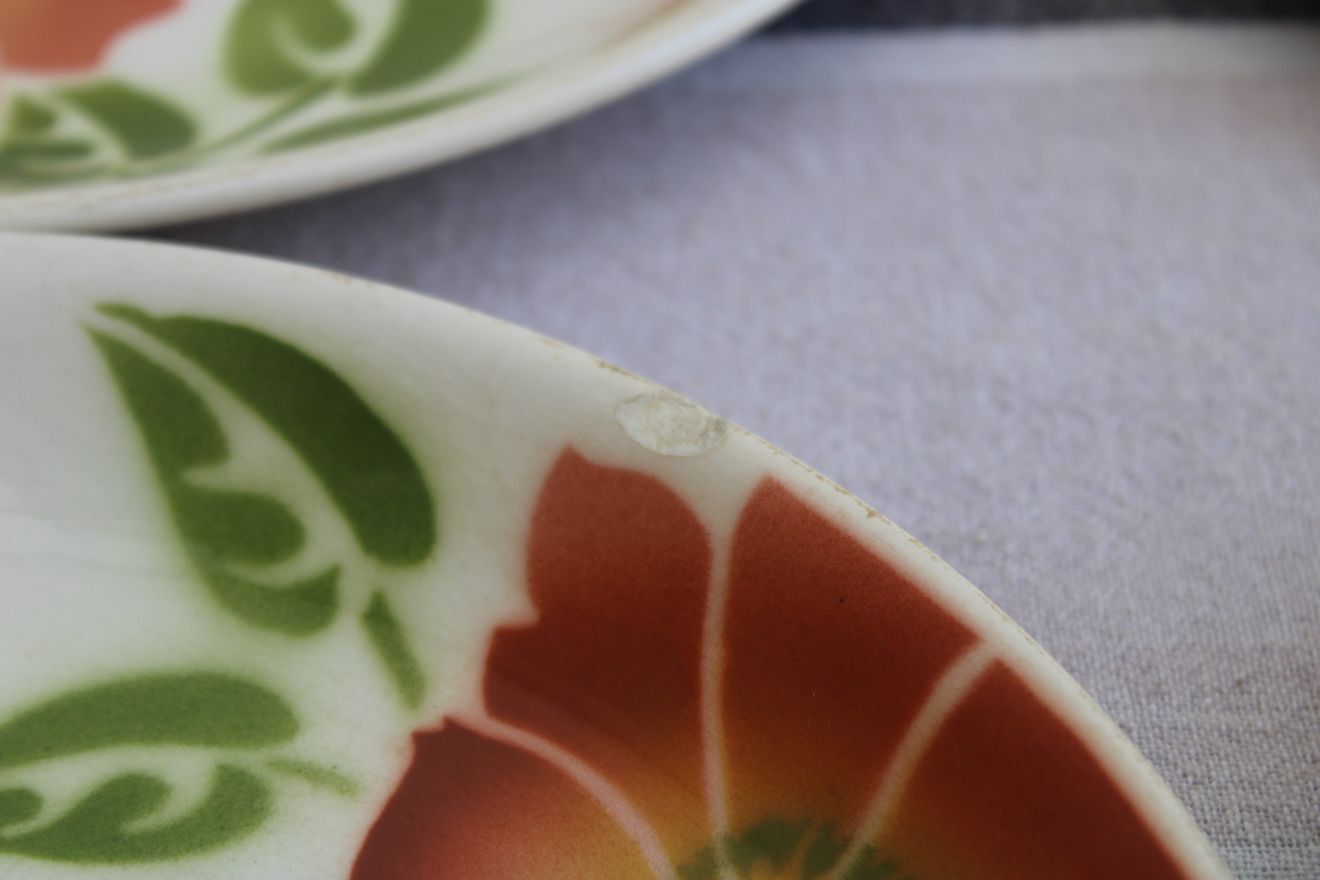 Lot de 6 assiettes plates en céramique