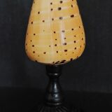Cabinet of Curiosities conus betulinus shell on base