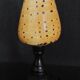 Cabinet of Curiosities conus betulinus shell on base