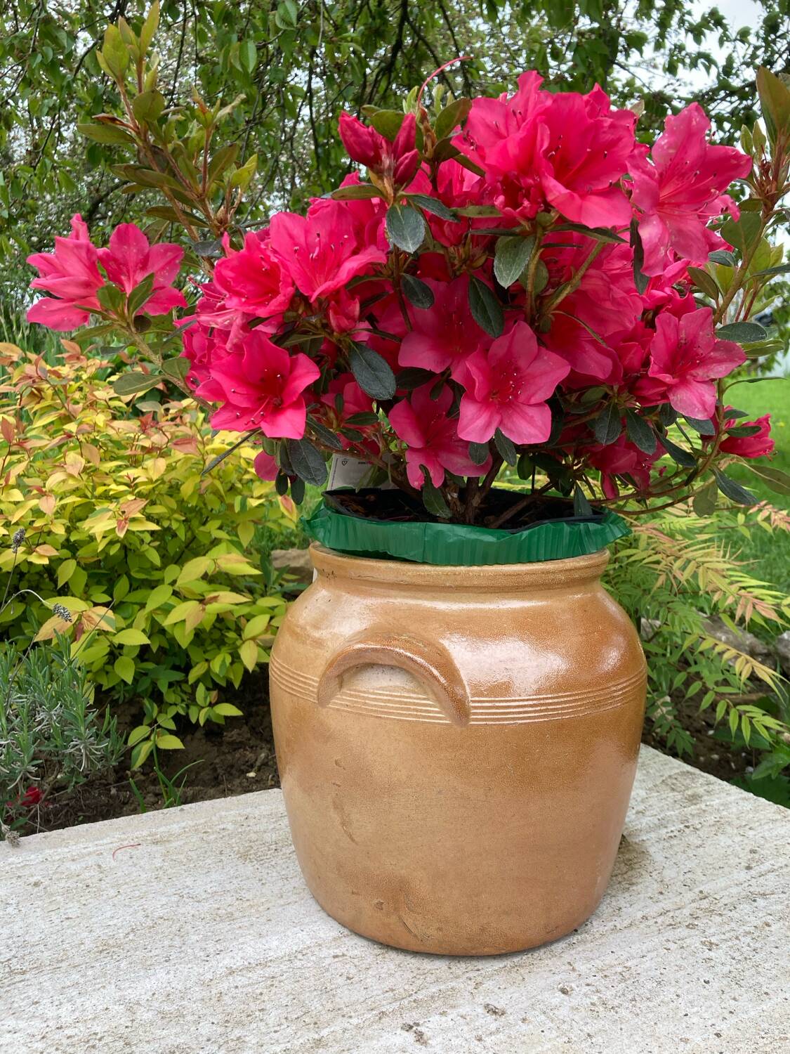 Light brown ceramic jar