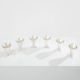 Set of 6 Art Deco silver-plated metal cups by La Maison Desny 1928
