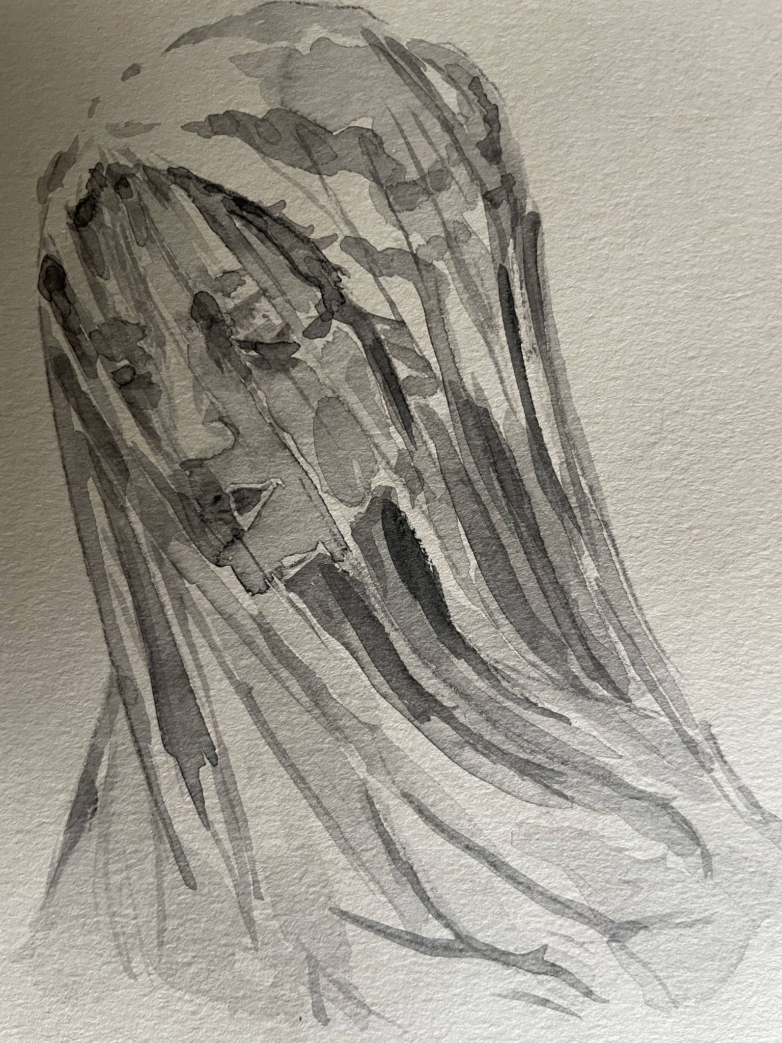 Painting signed watercolor monochrome sepia study statue of “the veiled virgin by Giovanni Strazza”