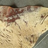 Kangaroo skin