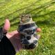 Vintage table lighter in black marble and brass