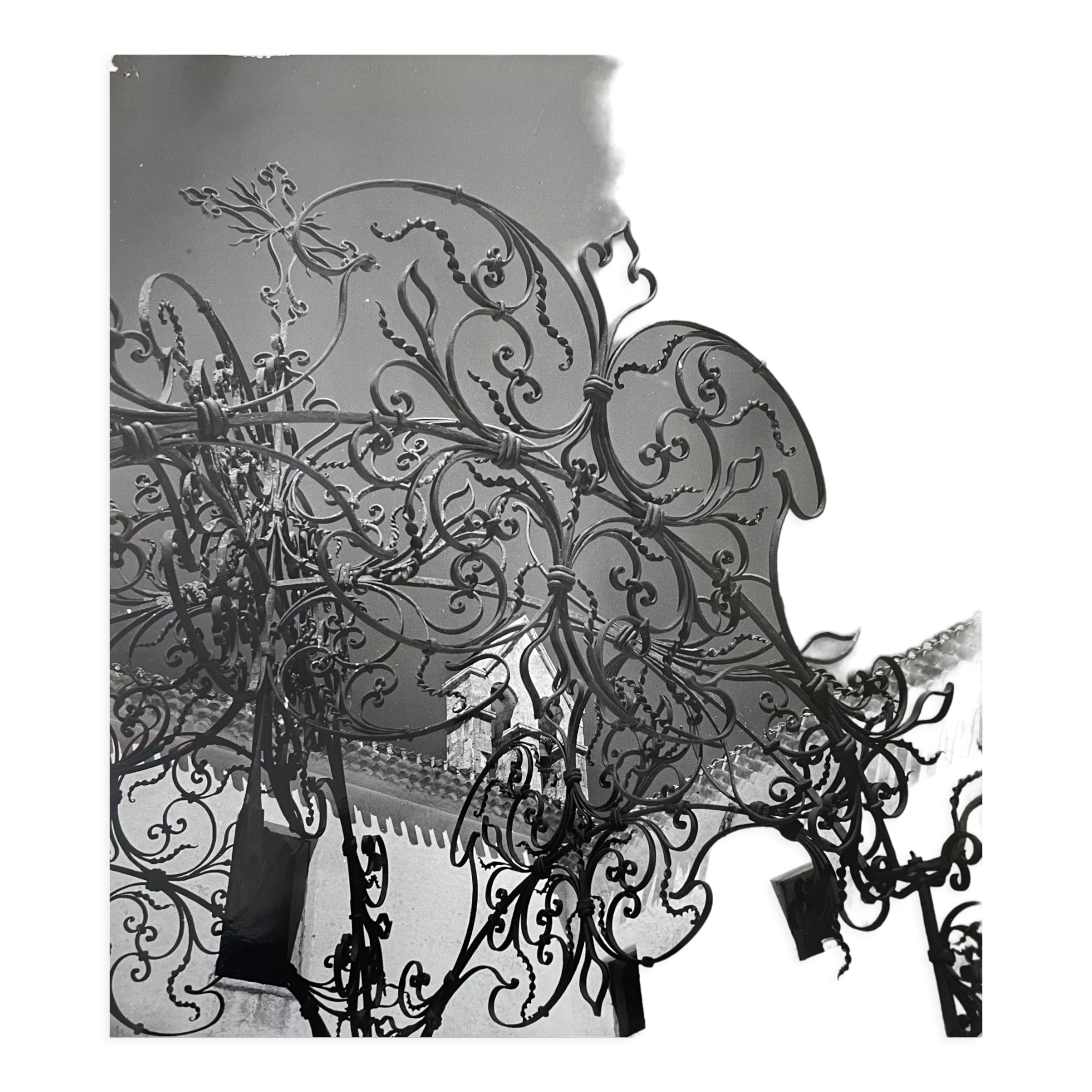 Black and white silver photography early twentieth century