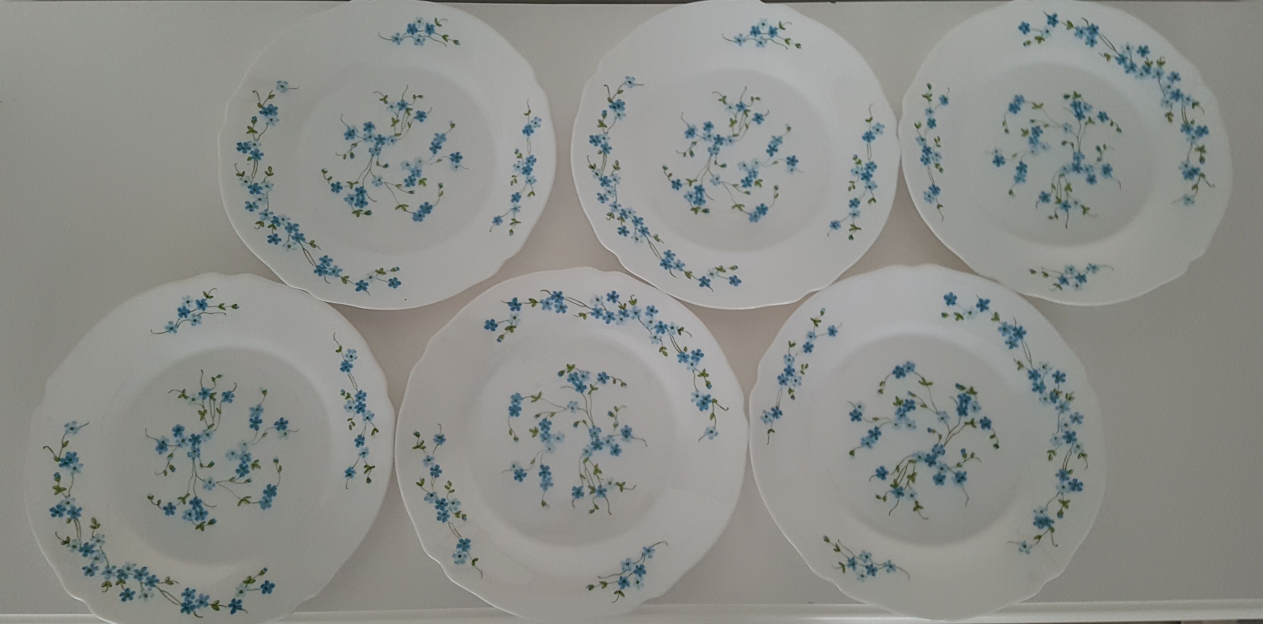 6 flat plates Myosotis veronica Arcopal