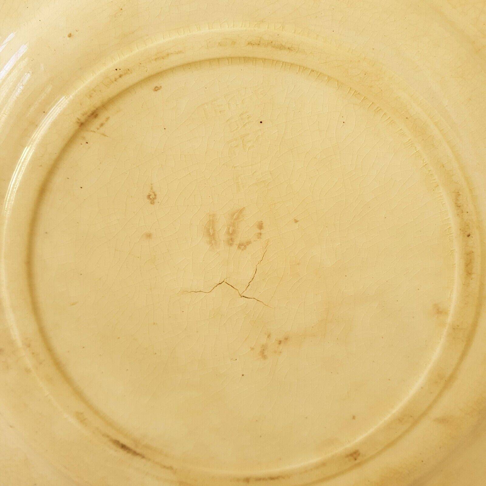 Lot Of 5 Plates François 1er Terre De Fer Model Salins D21.5 Cm