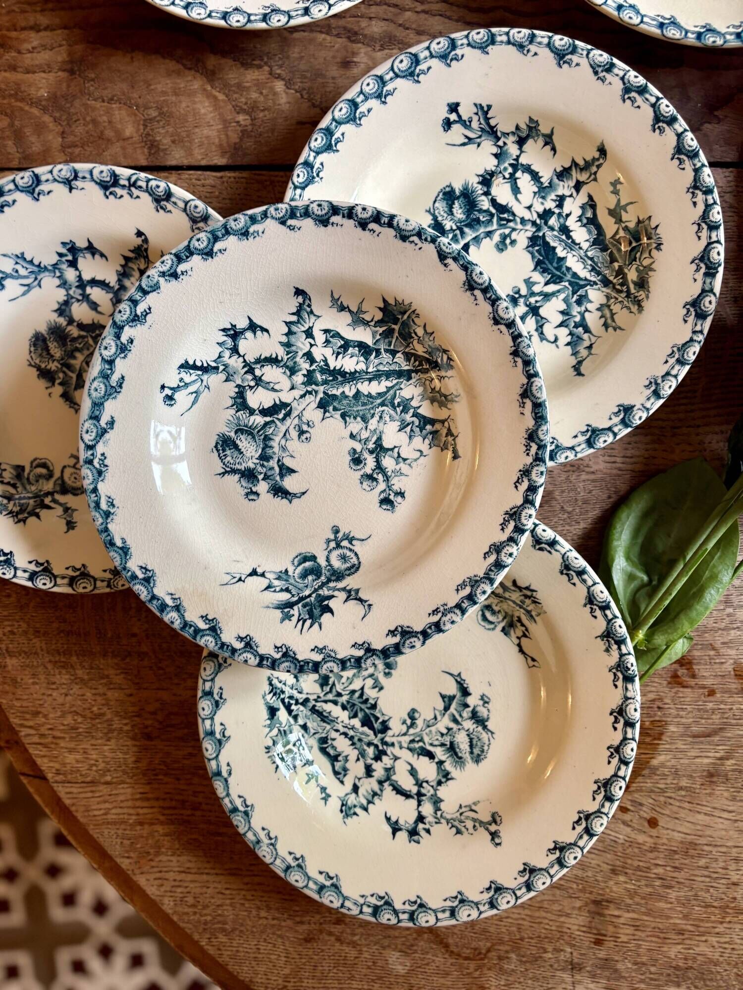 Set of 8 antique deep plates in ironstone, Chardons de Gien