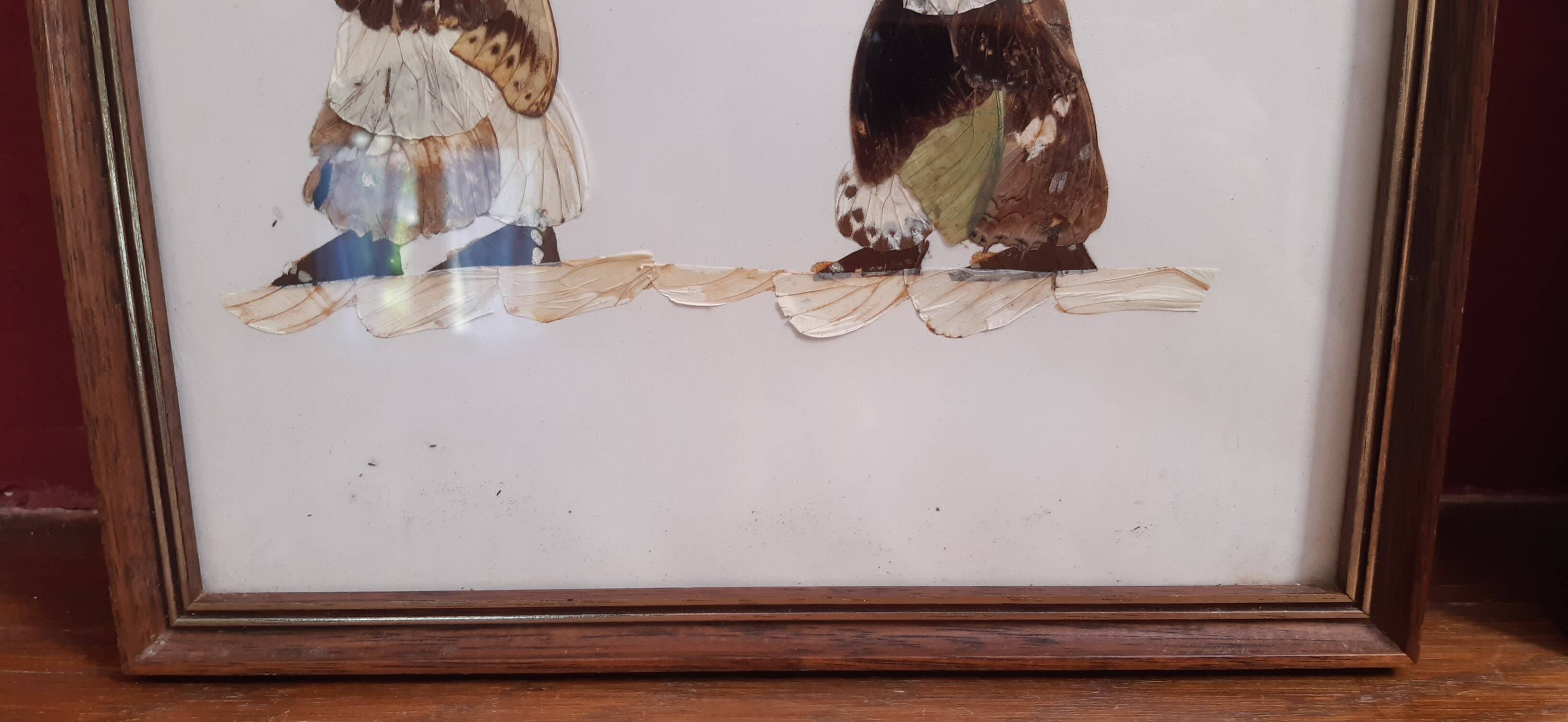 Set of 2 butterfly wing paintings