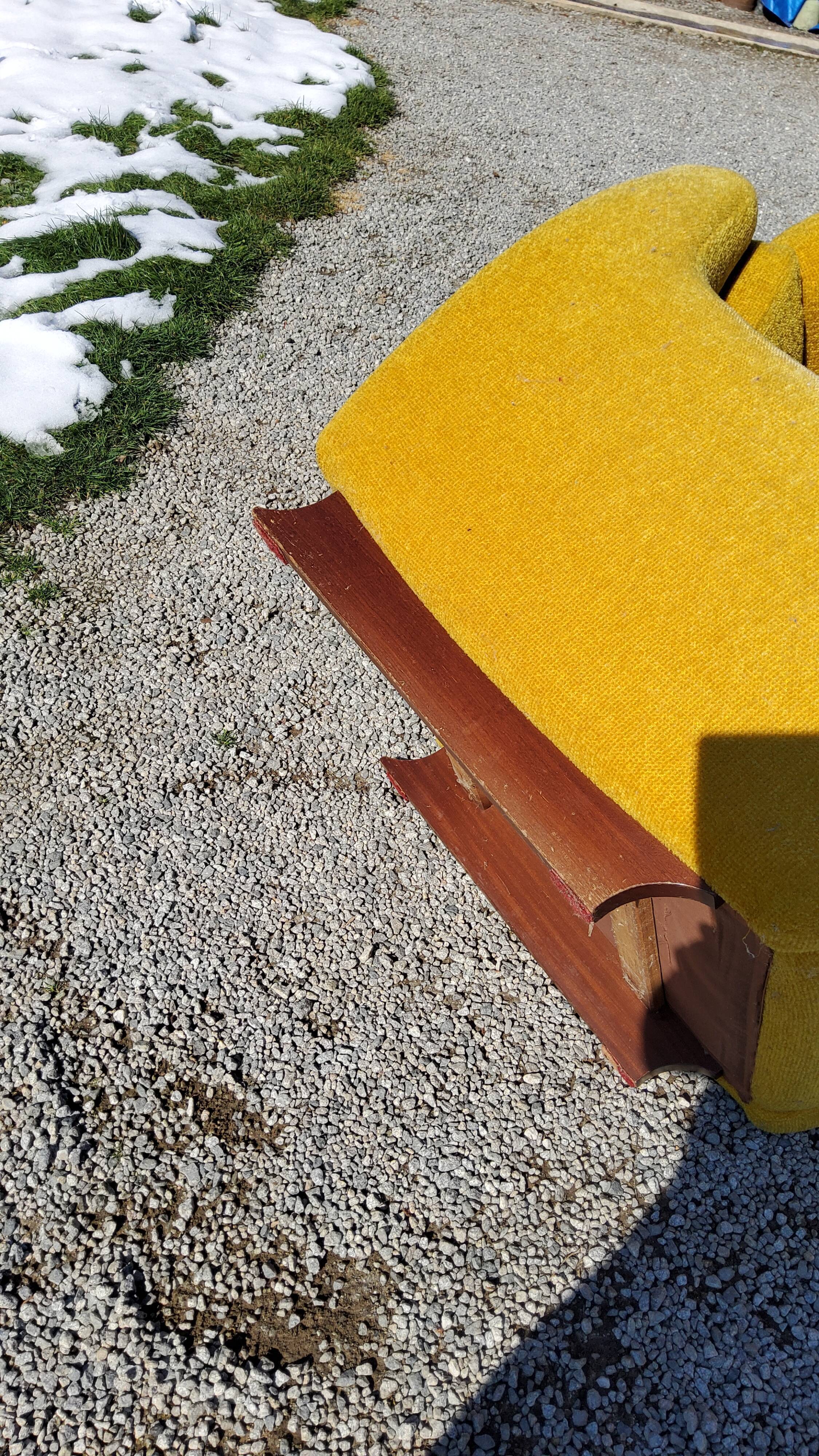 Armchair of the 70s velvet base sleigh in solid mahogany
