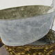 Brass planter with its zinc tray