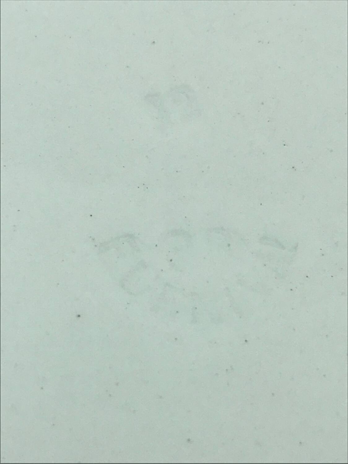 Oval plate from Furnival pottery.