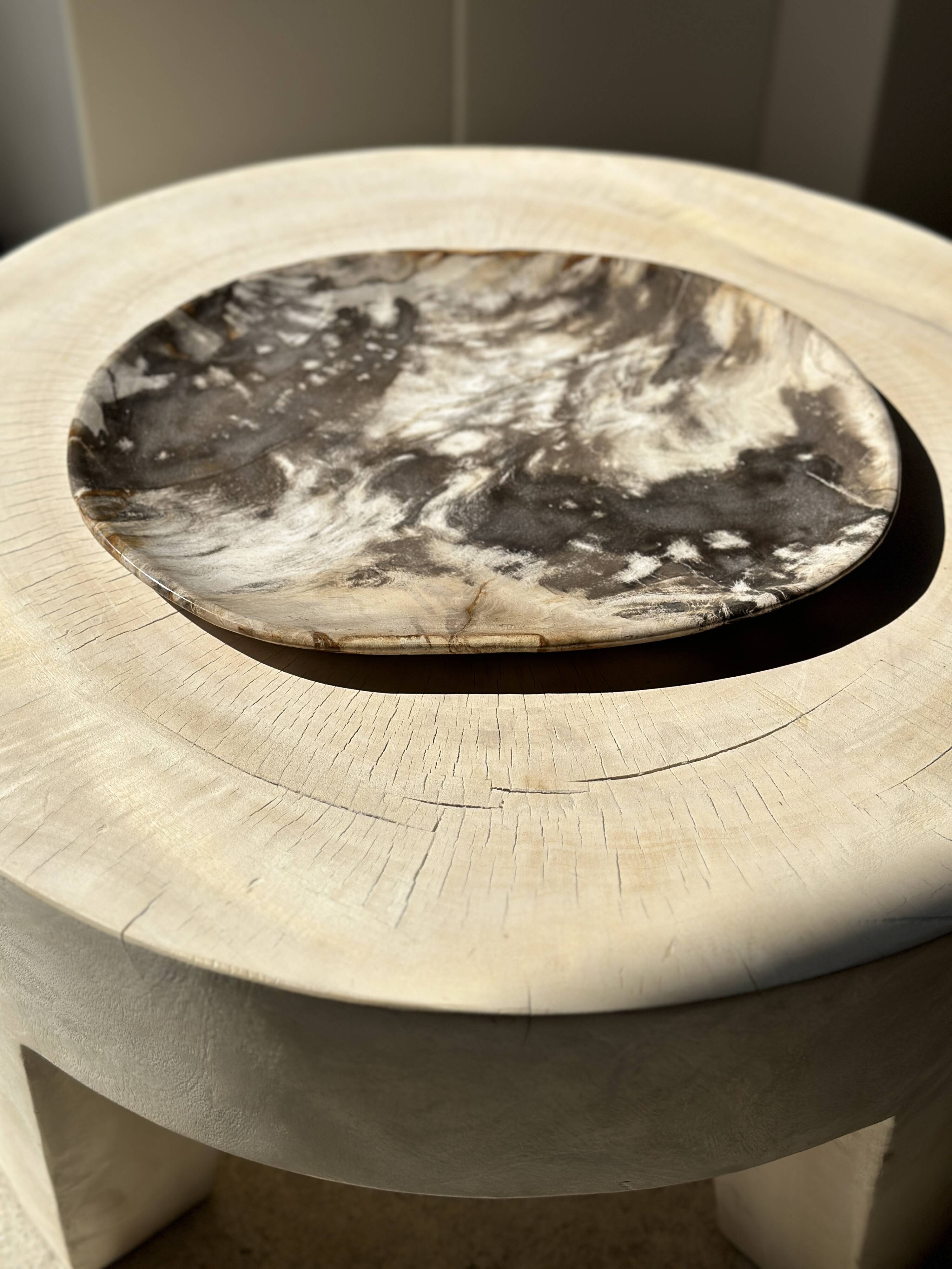 Very large pocket or dish in petrified wood