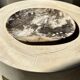Very large pocket or dish in petrified wood