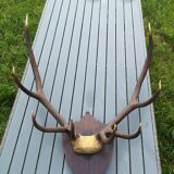 Deer Massacre Trophy