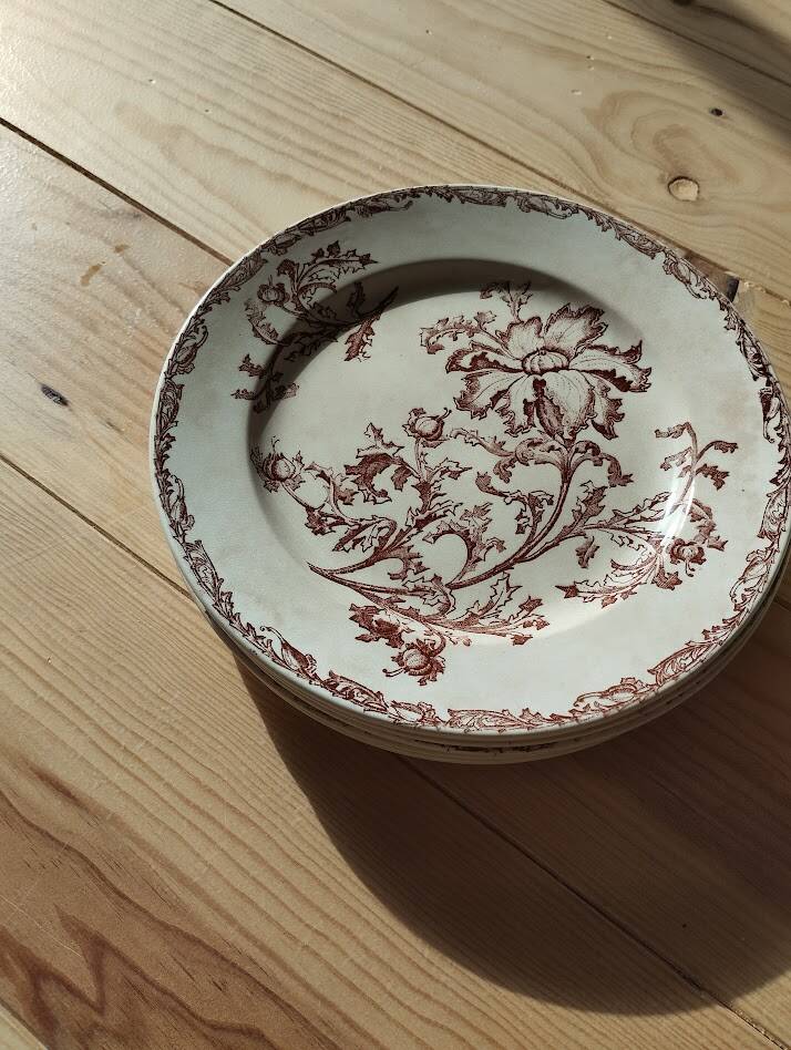 Datura plates iron earth