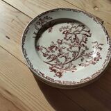 Datura plates iron earth