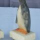 Pair of “penguins” bookends in alabaster