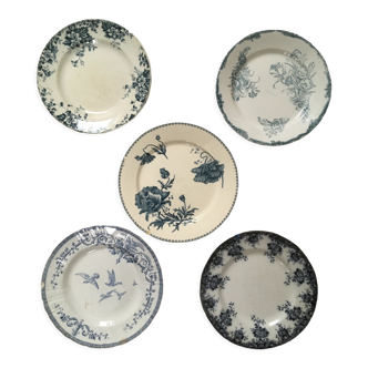 Lot 5 mismatched iron earth flat plates
