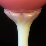 Vase in Pink Opaline 1920