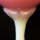 Vase in Pink Opaline 1920