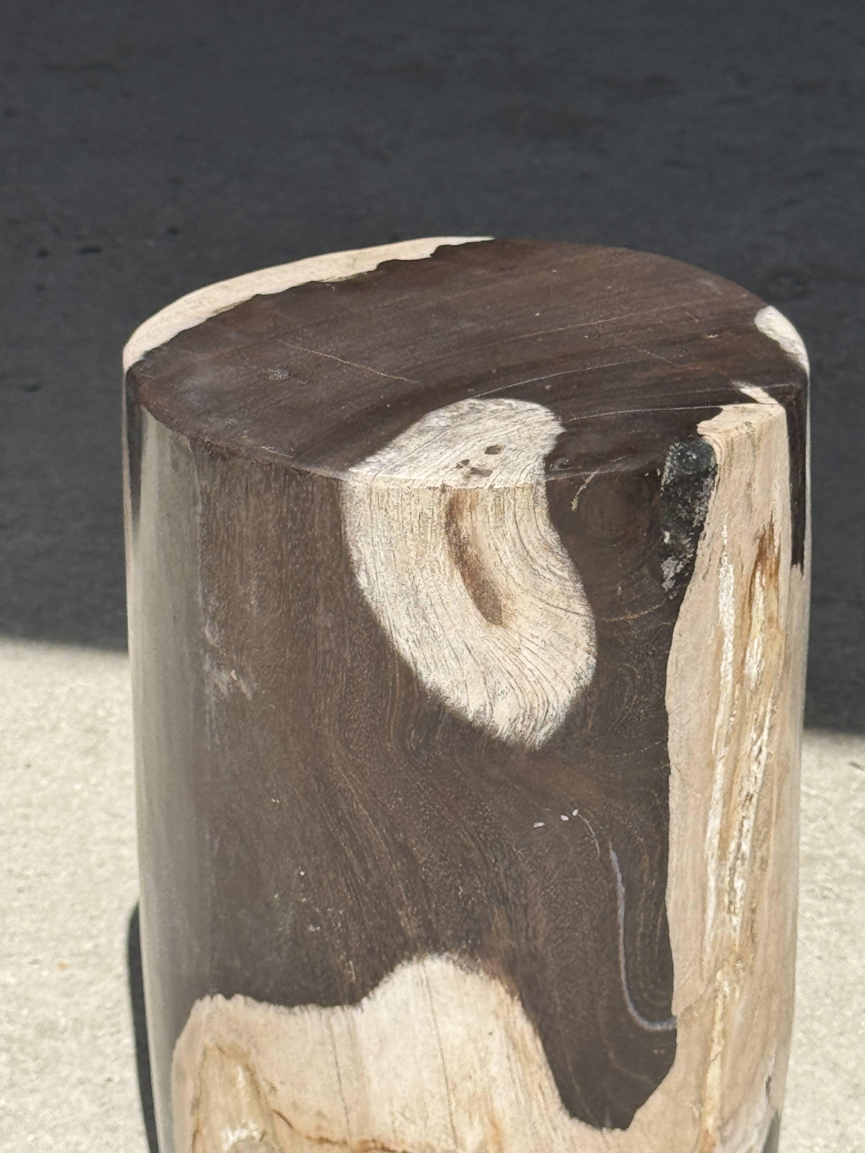 Small side table in black and white petrified wood H28 D18