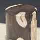 Small side table in black and white petrified wood H28 D18