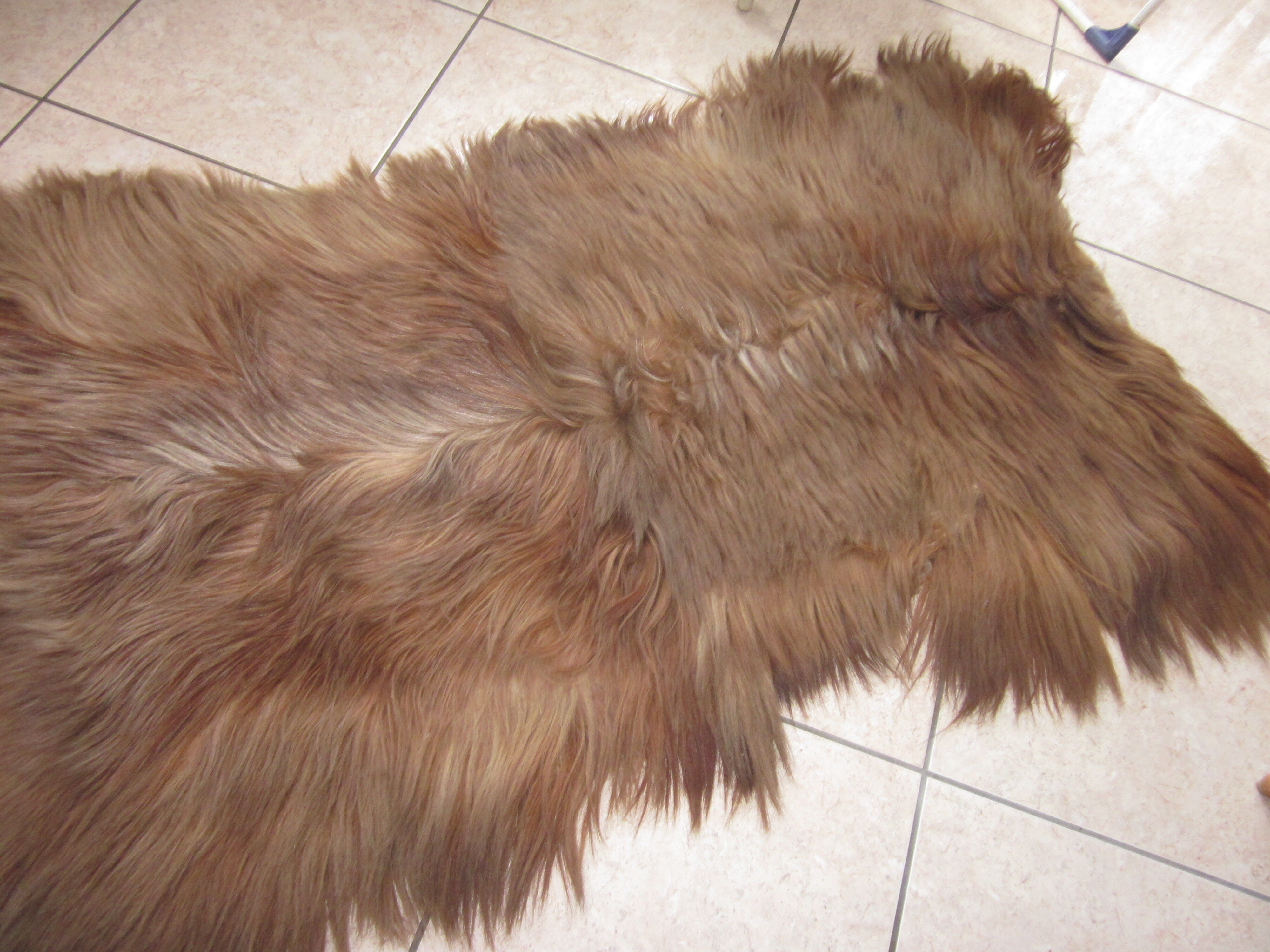 Long-haired haired hairskin carpet