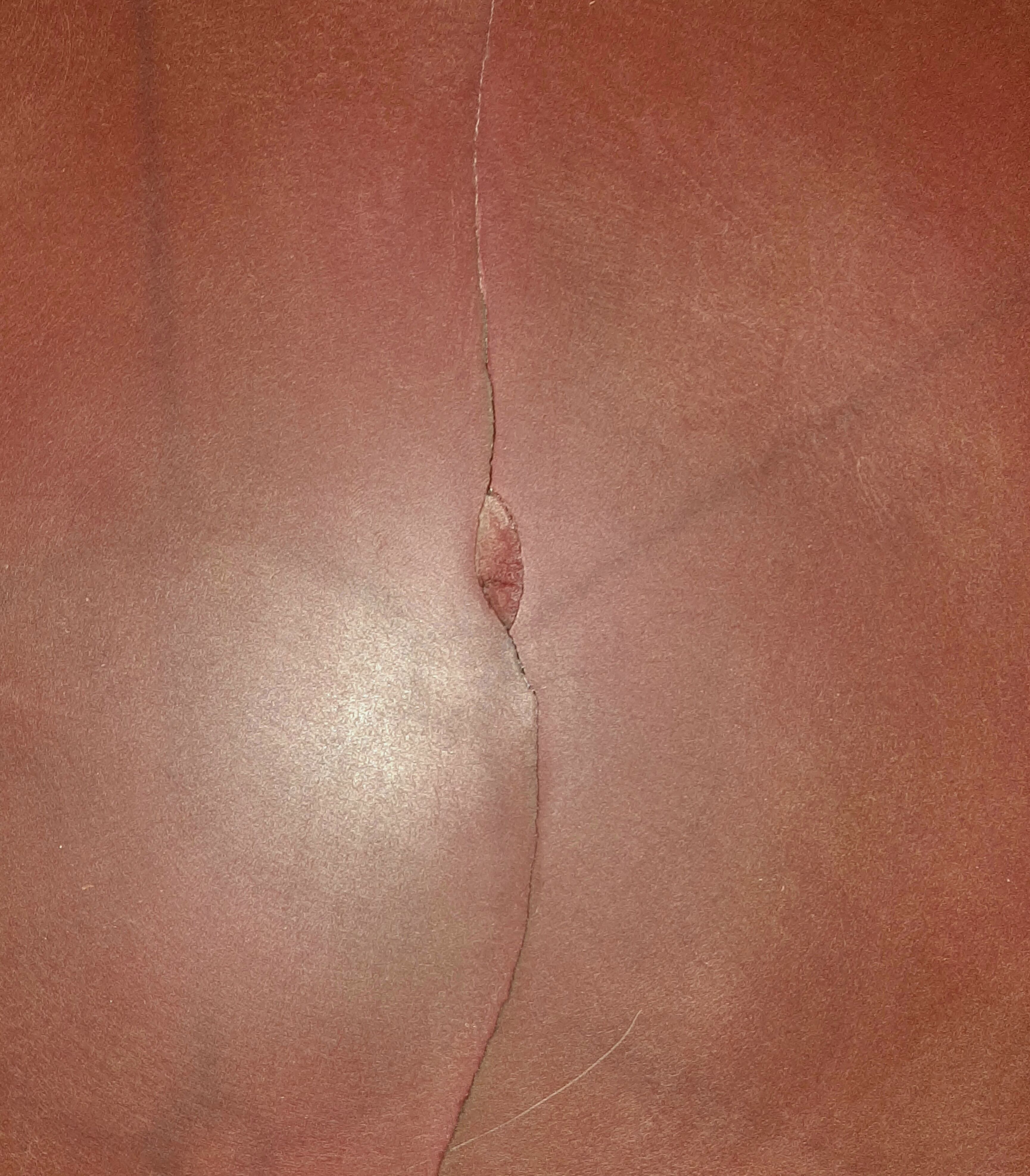 Fischel bistro pedestal table