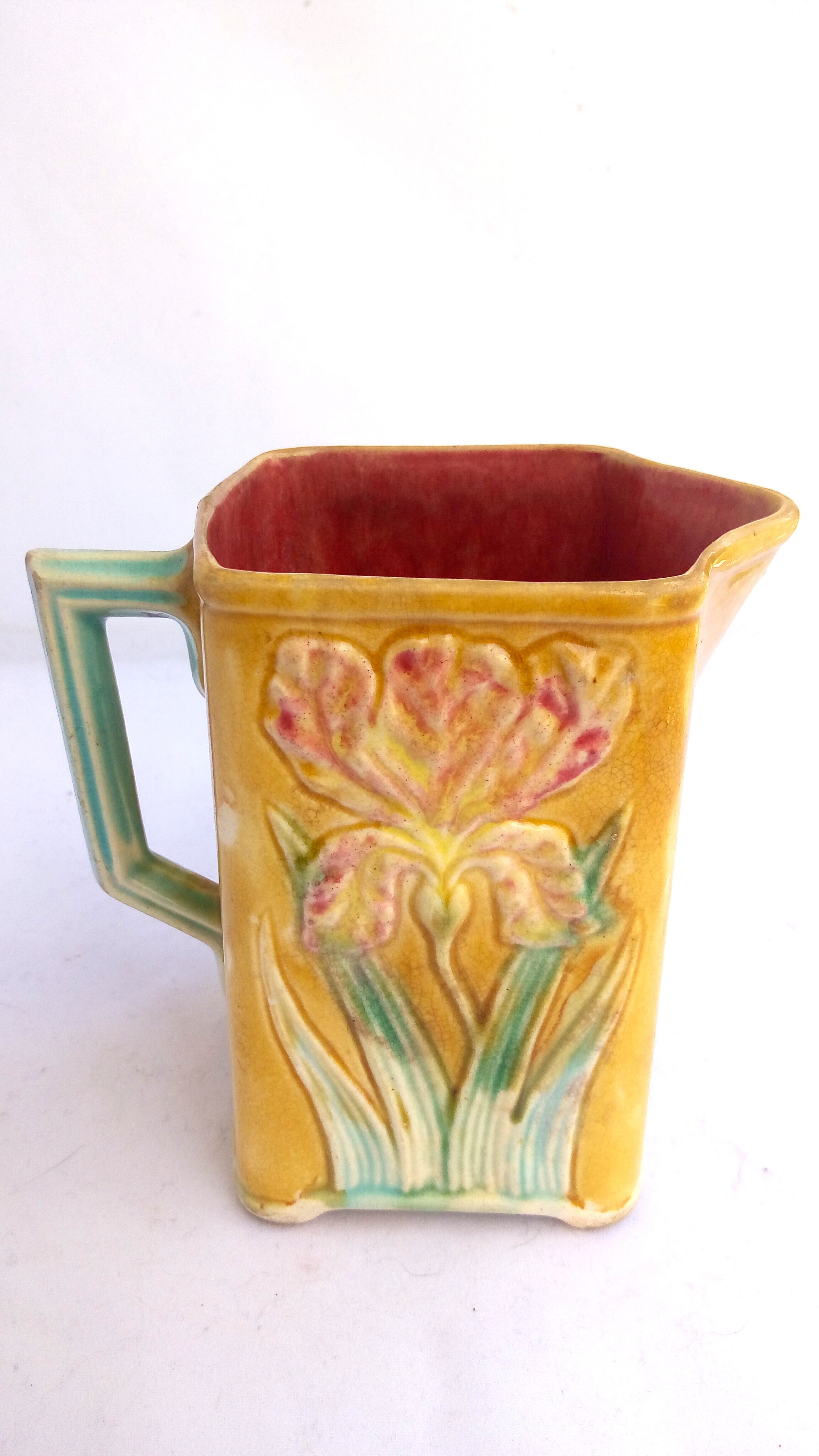 Pitcher dabbling in iris