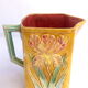 Pitcher dabbling in iris