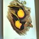 Vintage illustration - Toucan Ambigus by John Gould - bird plate
