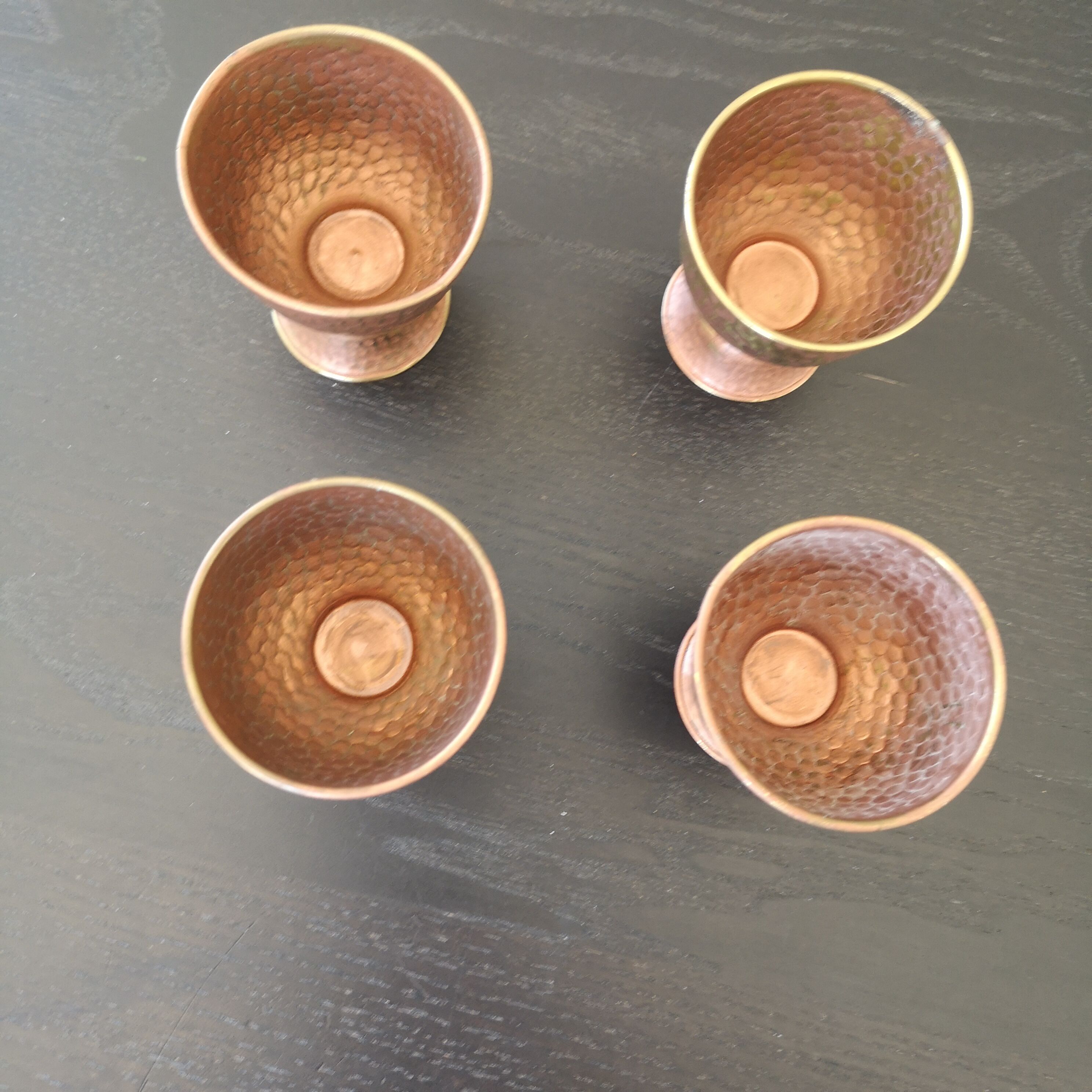 4 copper cockroaches