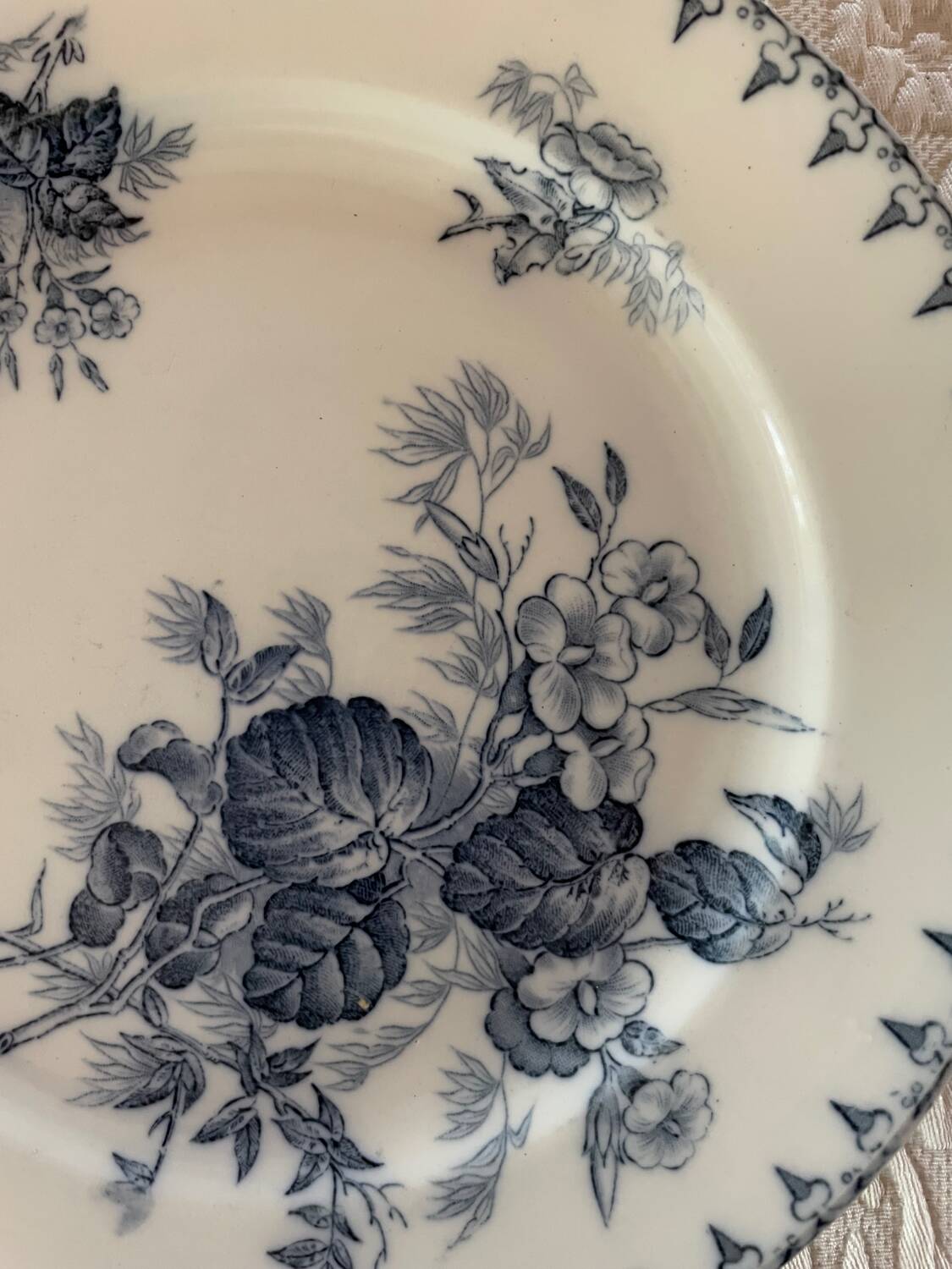 Flat plates and platter terre de fer sarreguemines uc flore model