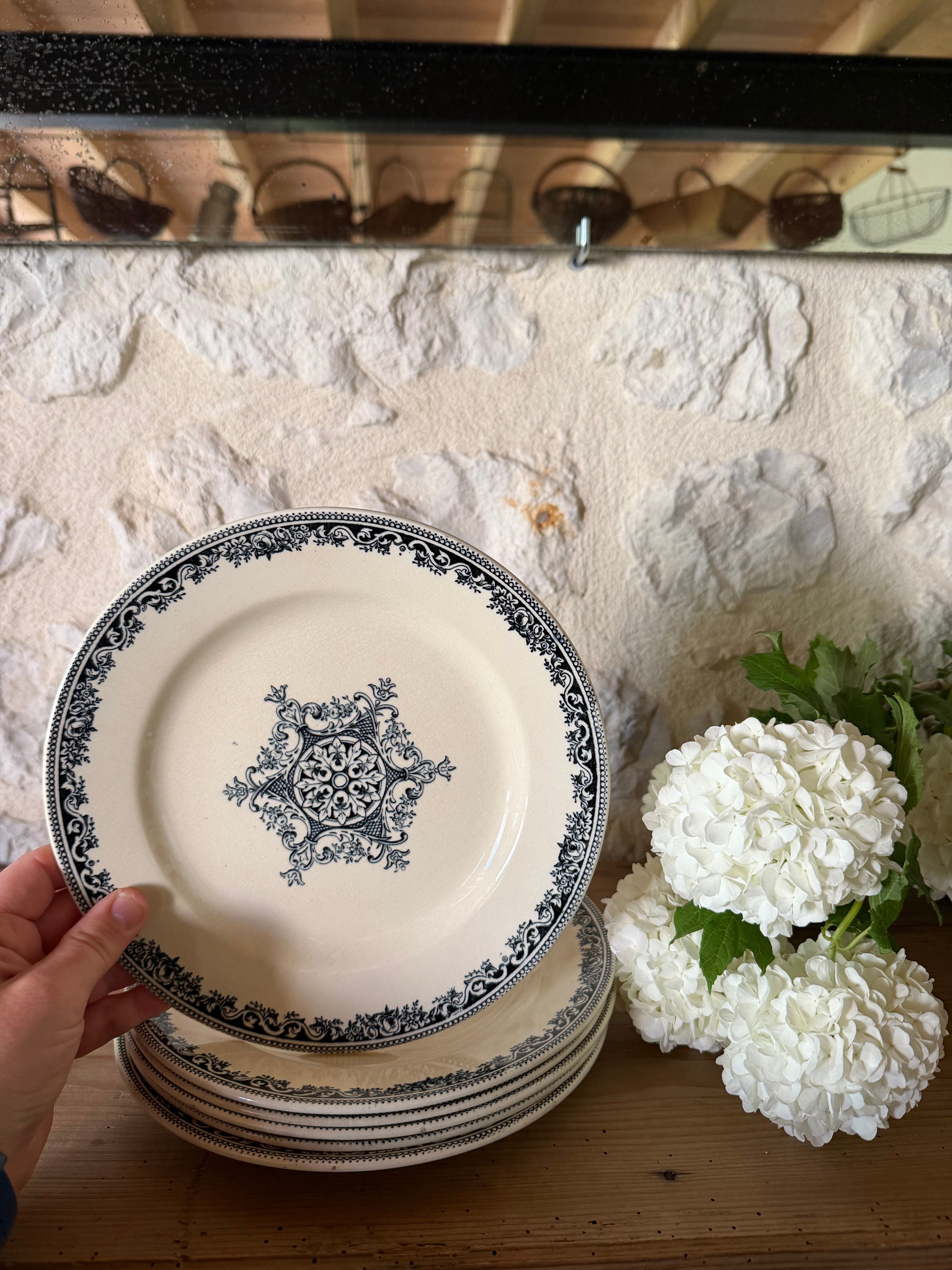 Flat plates Jules Vieillard Bordeaux in ironstone