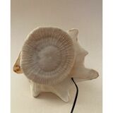 Shell lamp