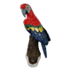 Glazed ceramic parakeet signed Maillard